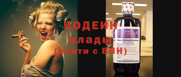 гидра Богданович