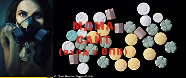 гидра Богданович