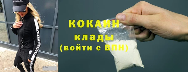 гидра Богданович