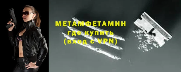гидра Богданович