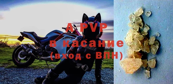 гидра Богданович