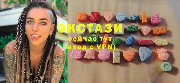 гидра Богданович
