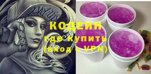 гидра Богданович