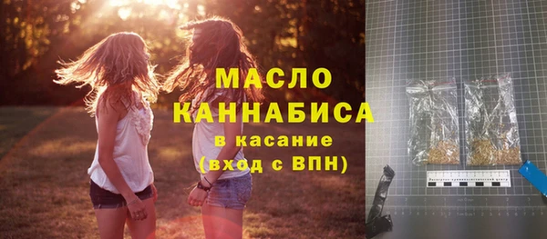 гидра Богданович