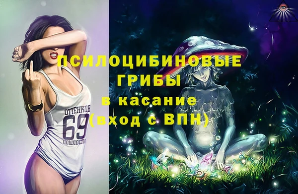 гидра Богданович