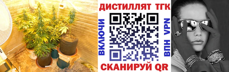 mega рабочий сайт  магазин    Мурманск  Дистиллят ТГК концентрат 