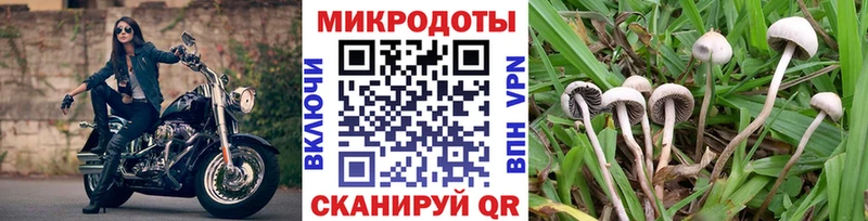 мориарти состав  продажа наркотиков  Мурманск  Галлюциногенные грибы мухоморы 